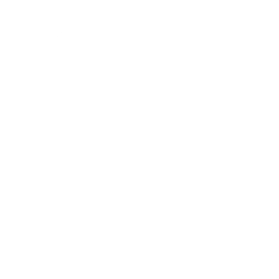 logo light